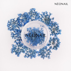 Květinová Dekorace 04| 11085 Květinová Dekorace 04| 11085